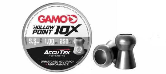 GAMO HollowPoint Accutek 10X